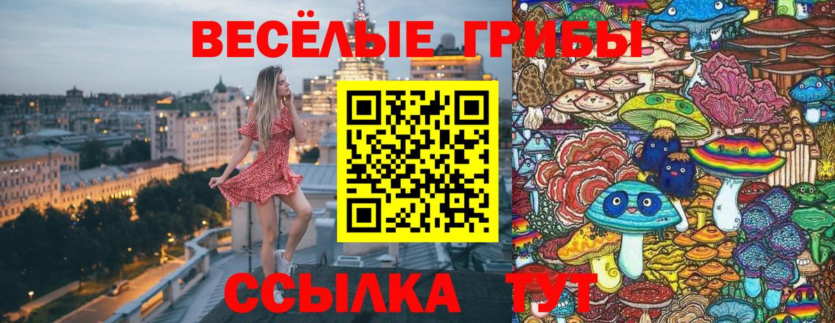 Галлюциногенные грибы MAGIC MUSHROOMS Ачхой-Мартан